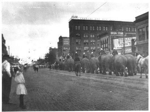 Elephants on Parade in 1915